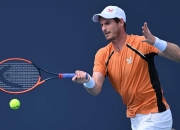 开云体育登录-意大利网球队碾压世界网球队，穆雷关键制胜的简单介绍