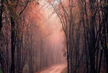 开云体育平台APP-关于波兰队力擒克罗地亚，欧国联赛比拼看点多多的信息