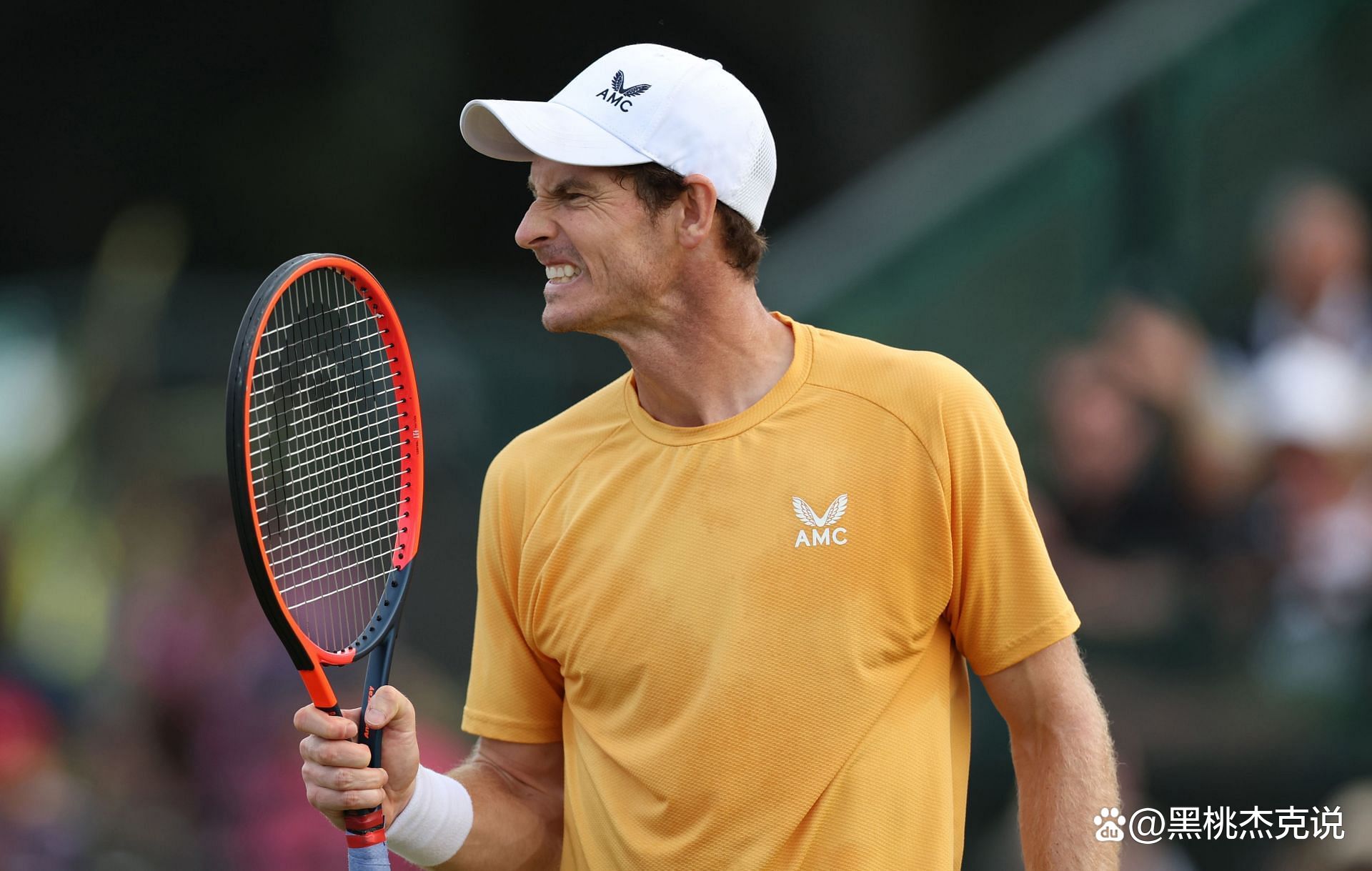 关于法网横扫温网，穆雷点燃赛场的信息