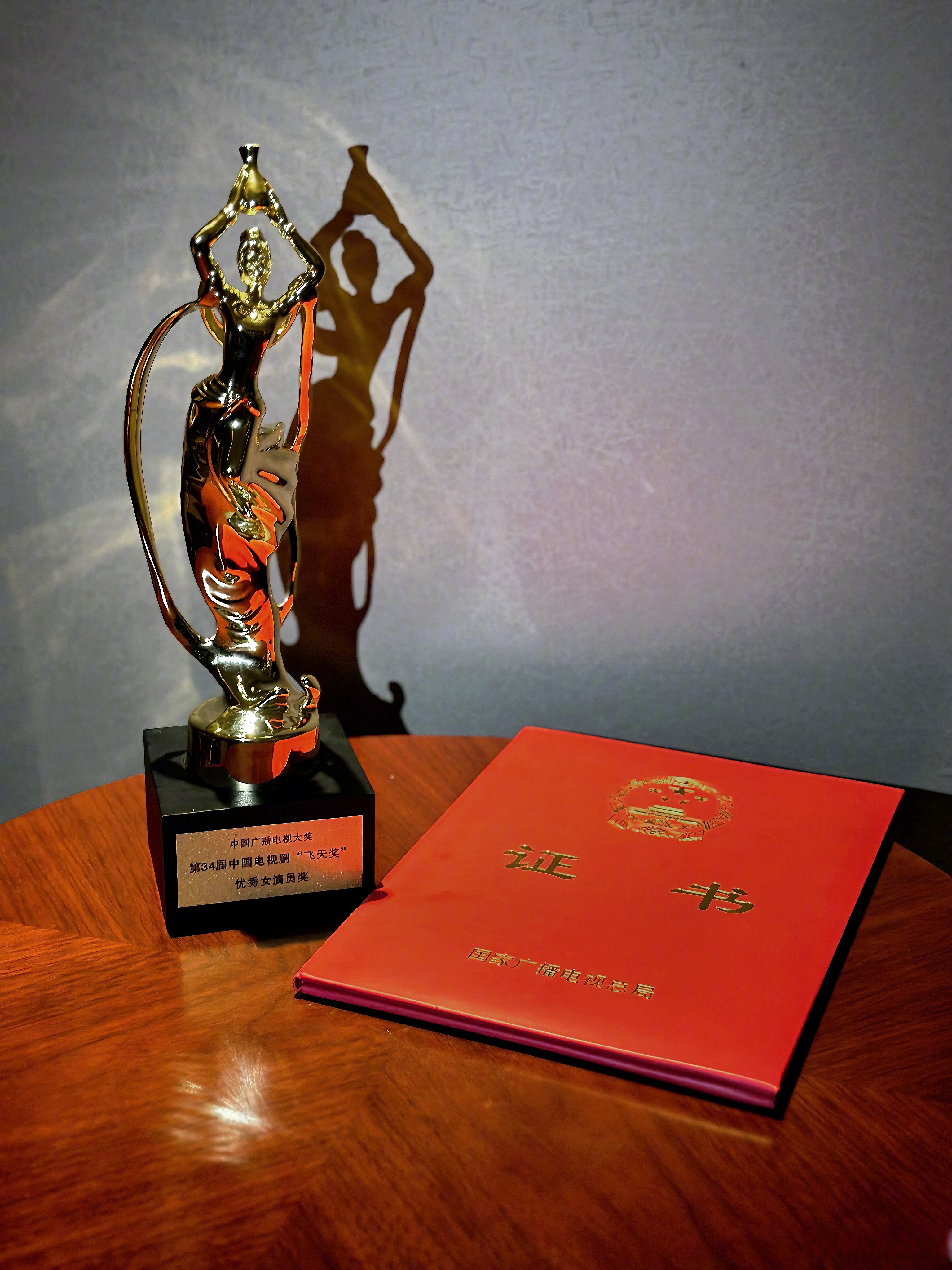 关于冠军风采令人震撼,技艺超群令人叹为观止的信息 关于冠军风采令人震撼,技艺超群令人叹为观止的信息