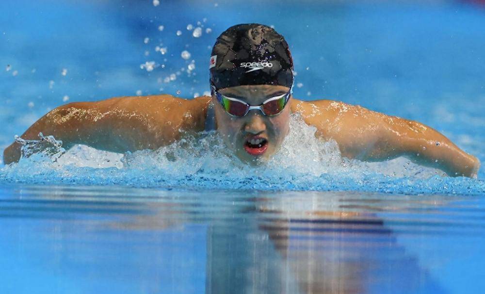 阿联酋游泳选手在比赛中斩获金牌 阿联酋游泳选手在比赛中斩获金牌