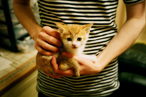 德甲争冠战之夜,卡马文加全场最佳无争议