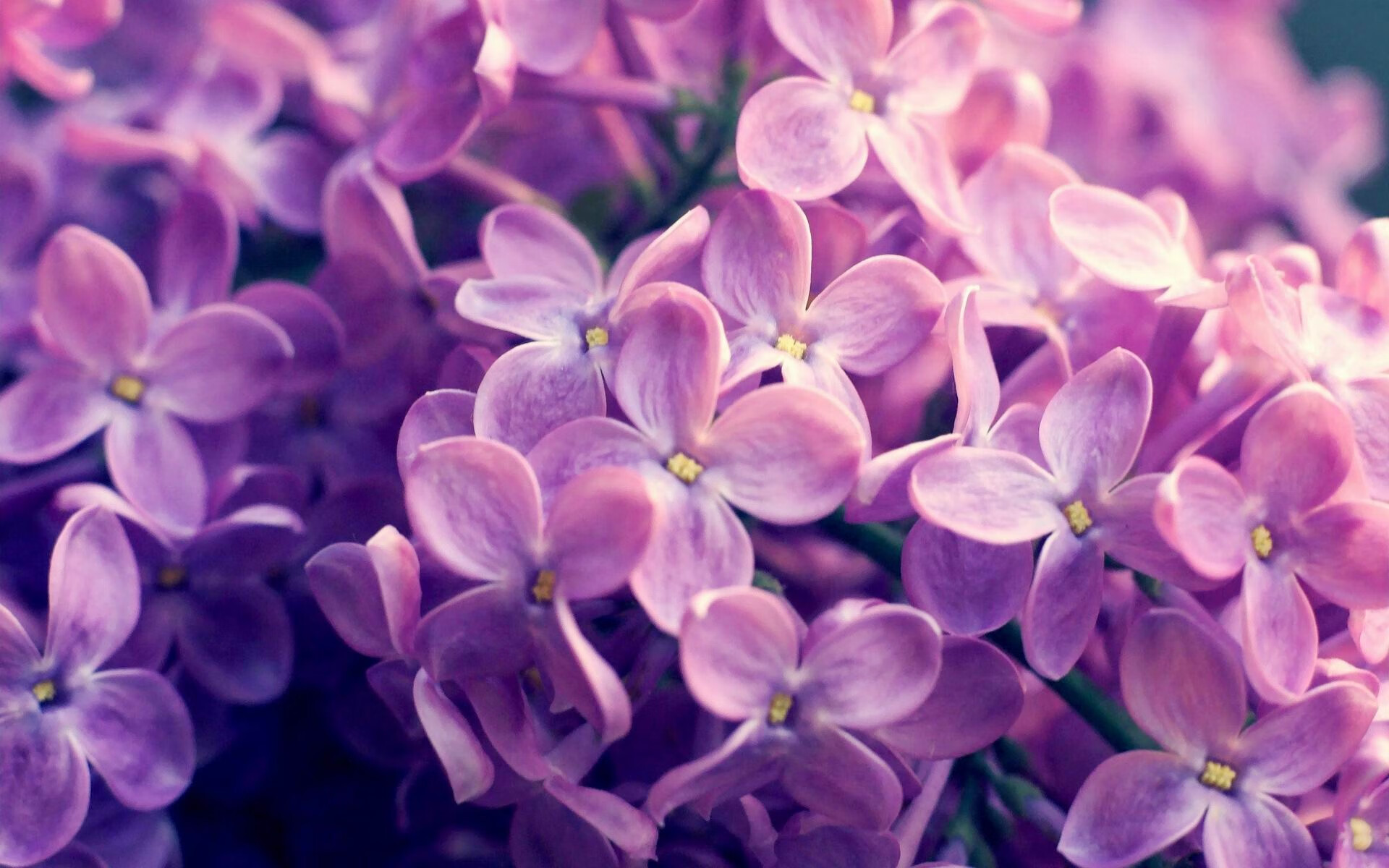 当蓝狮遇见雷鬼，一场跨越次元的欧冠焦点战遐想